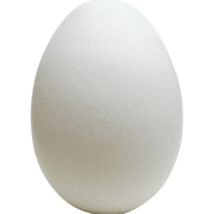 Egg Png PNG Transparent With Clear Background ID 136940 png - Free PNG Images_prev_ui