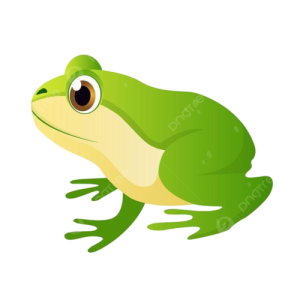 Green Frog Clipart Transparent PNG Hd, Green White Belly Frog, Frog Clipart, Green, Cartoon Frog PNG Image For Free Download_prev_ui